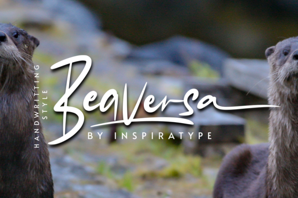 Beaversa: The Friendly Handwritten Font for Small Business Branding