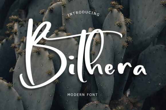 Bithera Font: Elevating Web Design with Modern Handwritten Style