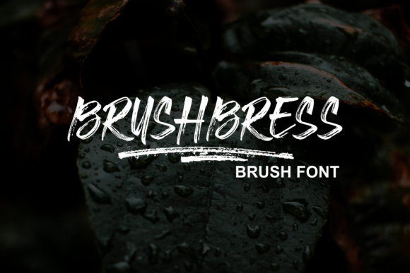 Brushbress: A Handwritten Typeface for Editorial Calm