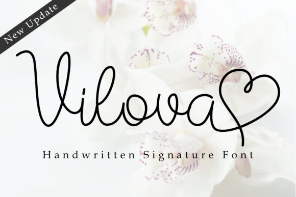 Vilova Font Review: Elevating Web Design with Script Style